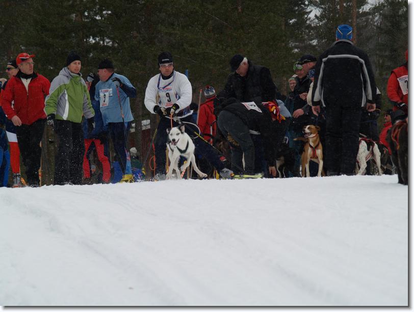 Nästa bild